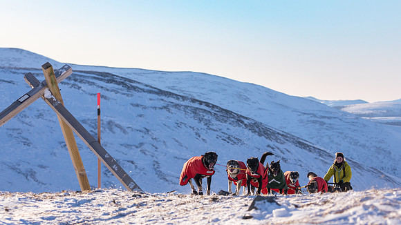 3_Mile101_YukonQuest2018_Eagle_summit_YukonQuest2018_14337_JSchroder-2