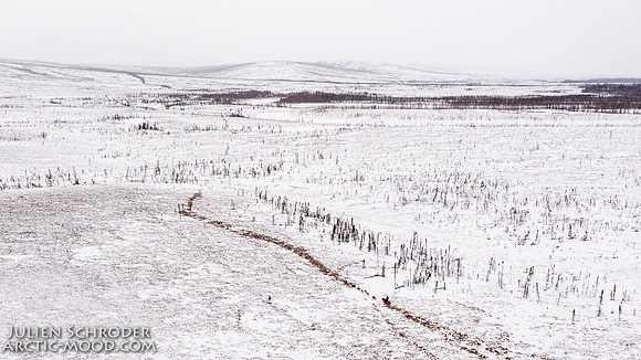 Iditarod-Iditarod2019-JSchroder_20190308DJI_0819