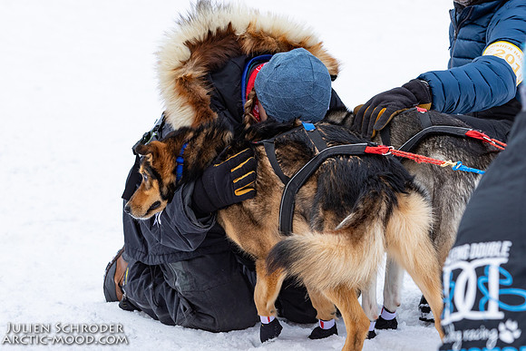 Restart-Iditarod2019-JSchroder_20190303_D4_3433