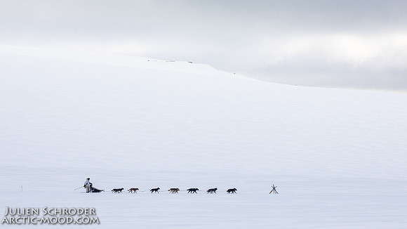 CapeNome-Iditarod2019-JSchroder_20190315_D4_8460