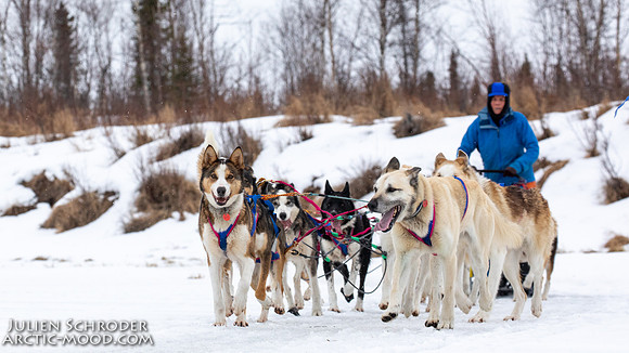 iditarod-Iditarod2019-JSchroder_20190309_D4_6477