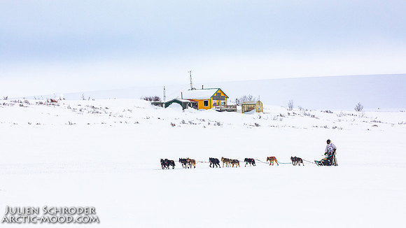 CapeNome-Iditarod2019-JSchroder_20190315_D4_8498