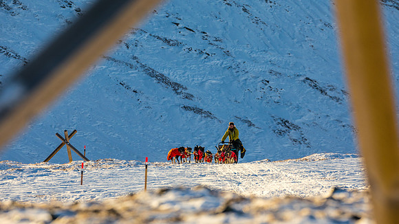 3_Mile101_YukonQuest2018_Eagle_summit_YukonQuest2018_14327_JSchroder-2
