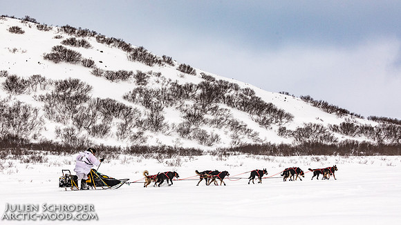 CapeNome-Iditarod2019-JSchroder_20190315_D4_8378