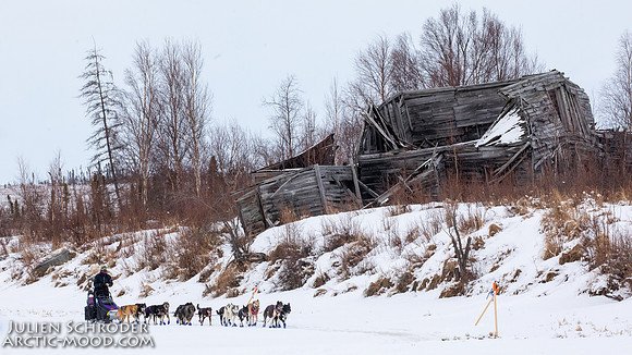 iditarod-Iditarod2019-JSchroder_20190307_D4_5811
