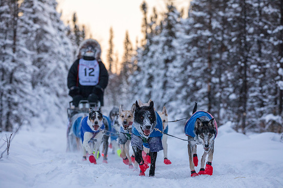 2_Two Rivers_YukonQuest2018_untitled_YukonQuest2018_13836_JSchroder-2