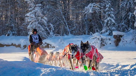 2_Two Rivers_YukonQuest2018_untitled_YukonQuest2018_13447_JSchroder-2