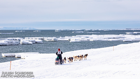 Nome-Iditarod2019-JSchroder_20190313_D4_7613