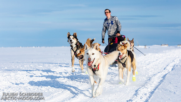Nome-Iditarod2019-JSchroder_20190313_D4_7730