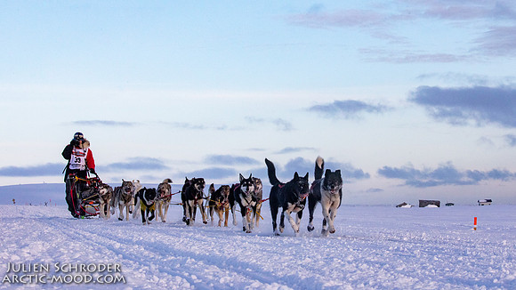 CapeNome-Iditarod2019-JSchroder_20190315_D4_8952