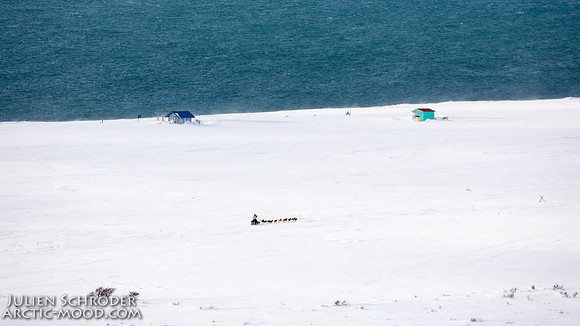 Nome-Iditarod2019-JSchroder_20190313_D4_7435