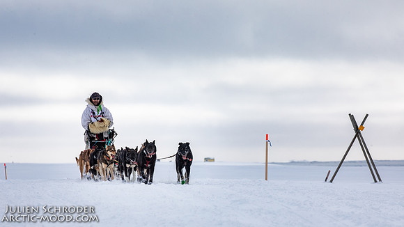 CapeNome-Iditarod2019-JSchroder_20190315_D4_8600