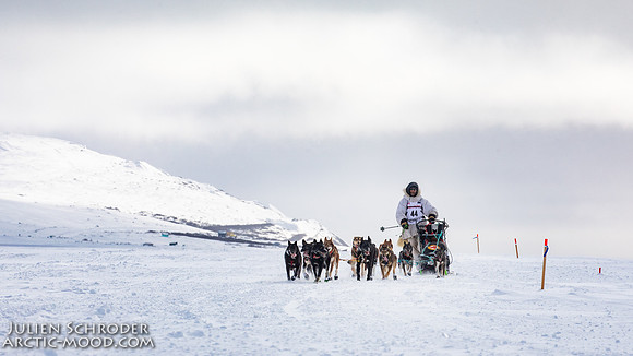 CapeNome-Iditarod2019-JSchroder_20190315_D4_8527