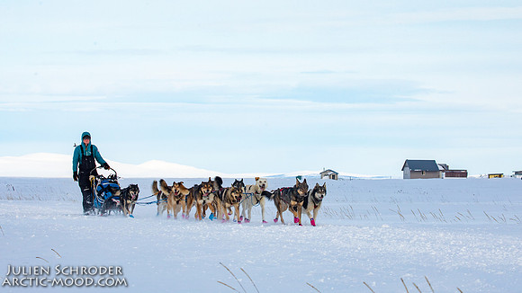 Nome-Iditarod2019-JSchroder_20190313_D4_7640