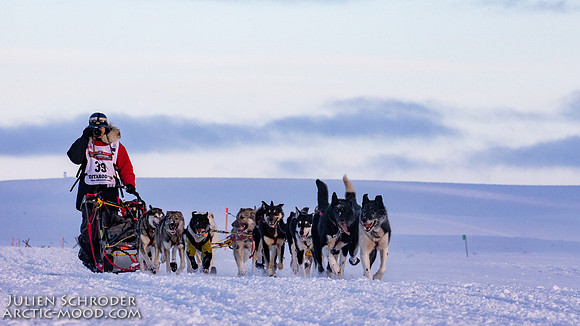 CapeNome-Iditarod2019-JSchroder_20190315_D4_8947