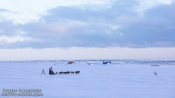 CapeNome-Iditarod2019-JSchroder_20190315_D4_8846