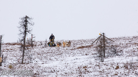 untitled-Iditarod2019-JSchroder_20190307_D4_5621