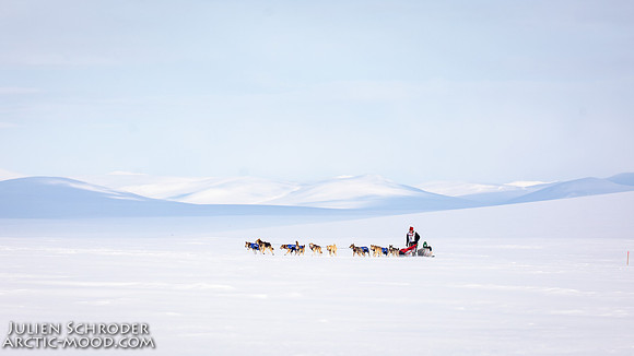 Nome-Iditarod2019-JSchroder_20190313_D4_7290