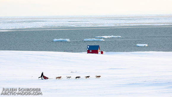Nome-Iditarod2019-JSchroder_20190313_D4_7867