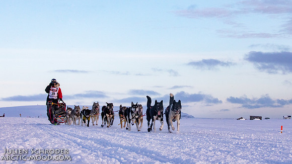 CapeNome-Iditarod2019-JSchroder_20190315_D4_8950