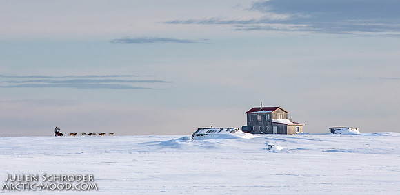 Nome-Iditarod2019-JSchroder_20190313_D4_7733