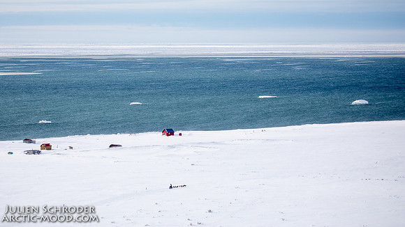 Nome-Iditarod2019-JSchroder_20190313_D4_7401