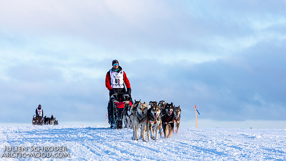 CapeNome-Iditarod2019-JSchroder_20190315_D4_8822