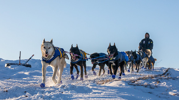 3_Mile101_YukonQuest2018_Eagle_summit_YukonQuest2018_14254_JSchroder-2
