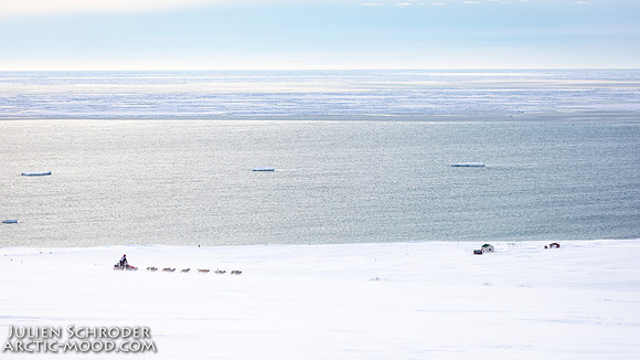 Nome-Iditarod2019-JSchroder_20190313_D4_7377