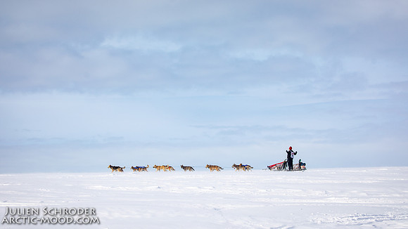 Nome-Iditarod2019-JSchroder_20190313_D4_7325