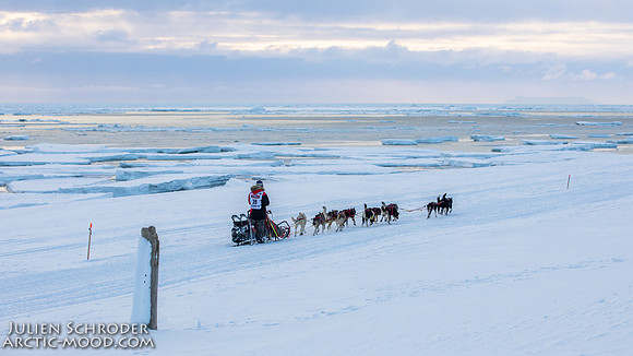 CapeNome-Iditarod2019-JSchroder_20190315_D4_9015