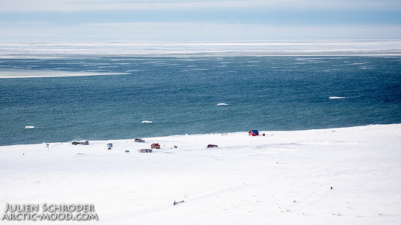 Nome-Iditarod2019-JSchroder_20190313_D4_7397