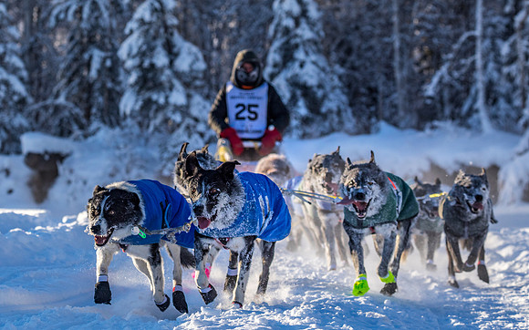2_Two Rivers_YukonQuest2018_untitled_YukonQuest2018_13576_JSchroder-2