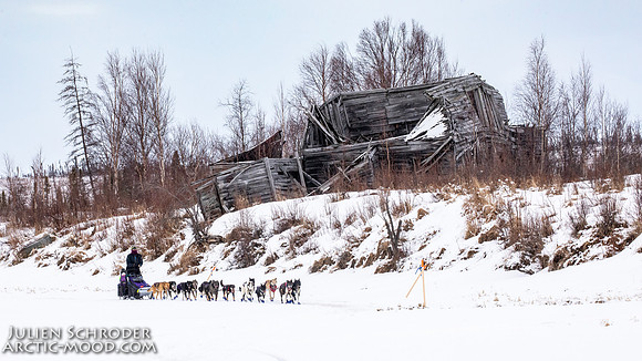 iditarod-Iditarod2019-JSchroder_20190307_D4_5813