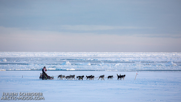 CapeNome-Iditarod2019-JSchroder_20190315_D4_8884