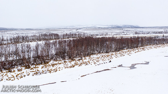 Iditarod-Iditarod2019-JSchroder_20190308DJI_0856