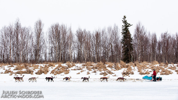 iditarod-Iditarod2019-JSchroder_20190309_D4_6408