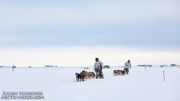 CapeNome-Iditarod2019-JSchroder_20190315_D4_8221