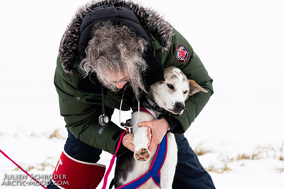 iditarod-Iditarod2019-JSchroder_20190309_D4_6520