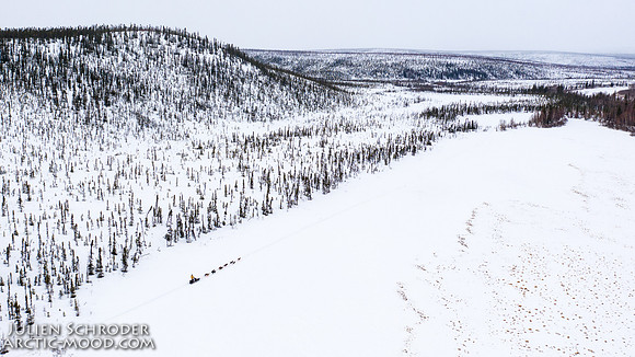 Iditarod-Iditarod2019-JSchroder_20190308DJI_0885