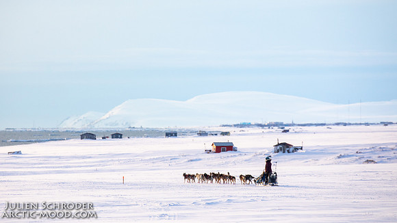 Nome-Iditarod2019-JSchroder_20190313_D4_7889