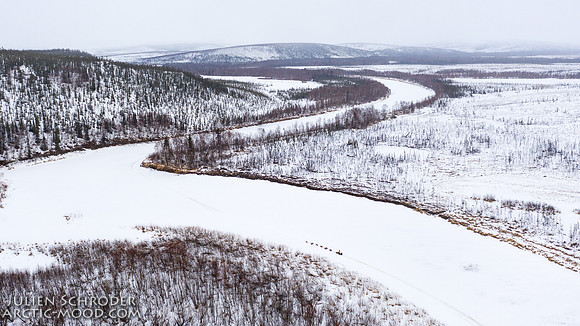 Iditarod-Iditarod2019-JSchroder_20190308DJI_0867