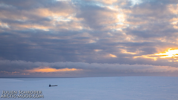 CapeNome-Iditarod2019-JSchroder_20190315_D4_9093