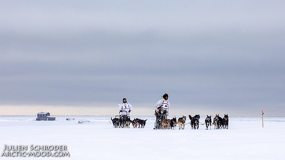 CapeNome-Iditarod2019-JSchroder_20190315_D4_8385