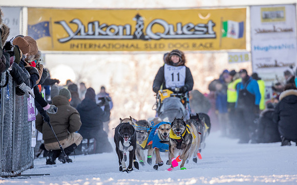 1_Fairbanks_YukonQuest2018_untitled_YukonQuest2018_12294_JSchroder-2