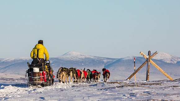 3_Mile101_YukonQuest2018_Eagle_summit_YukonQuest2018_14345_JSchroder-2