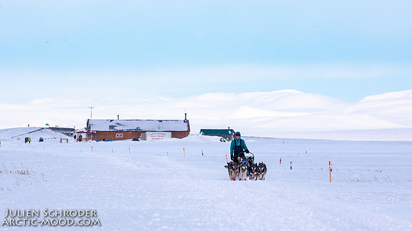 Nome-Iditarod2019-JSchroder_20190313_D4_7628