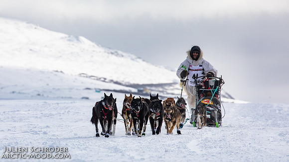 CapeNome-Iditarod2019-JSchroder_20190315_D4_8531