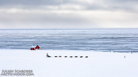 CapeNome-Iditarod2019-JSchroder_20190315_D4_8483