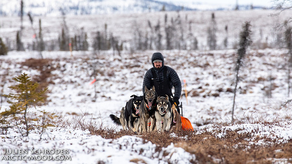 iditarod-Iditarod2019-JSchroder_20190307_D4_5883